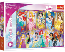 Puzzle 160 Princess